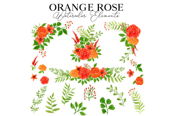 Orange Rose Watercolor Elements: A Designer's Review
