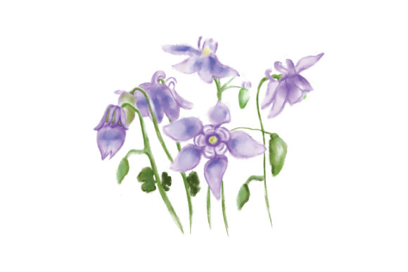 Watercolor Botanical Flower Print Review by Designs Amp