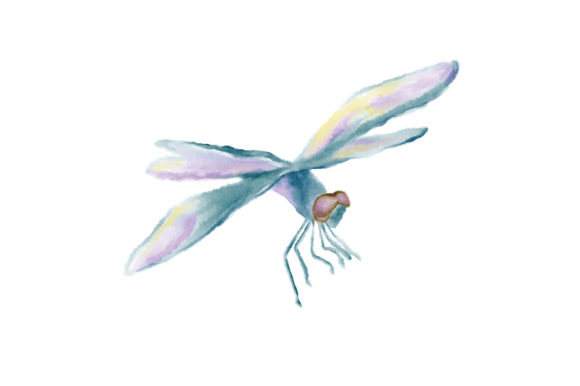 Watercolor Dragonfly: Animals Asset Review