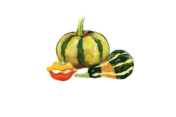 Watercolor Gourds for Food Amp Branding