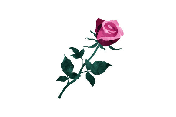 Watercolor Rose: A Nature Amp Asset for Sellers